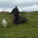 Profile Picture of Antonio Tello Tostado (@tellotostado) on Instagram