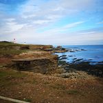 Profile Picture of kevin stead (@kevin.stead84) on Instagram