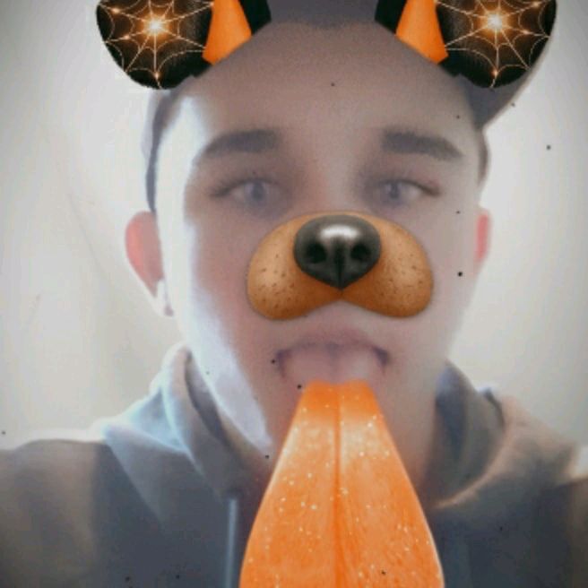 Profile Picture of Thomas Dolan (@tdogtherapper01) on Tiktok