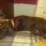 Profile Picture of Jerry Rosinski (@jerry.rosinski.5) on Facebook