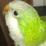 Profile Picture of Sunshine Curtis (@mrsunshinecurtis) on Instagram