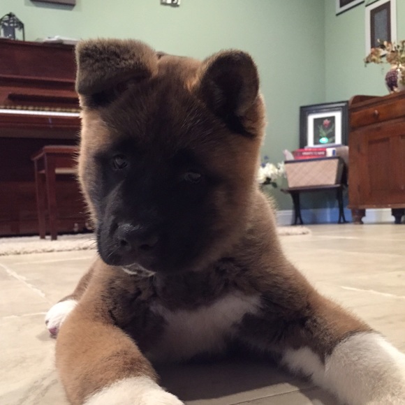 Profile Picture of Eric Bauer (@ebauer427) on Poshmark