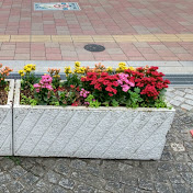 Profile Picture of Vivek Srinivasan (@viveksrinivasan3910) on Youtube