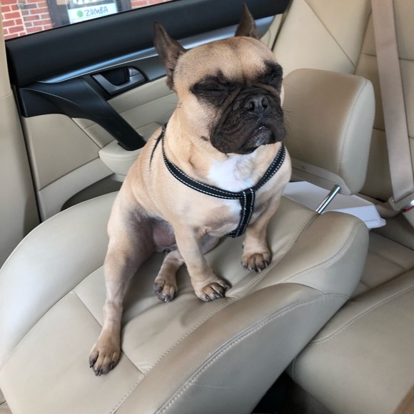 Kyle Stanton - Poshmark Profile Picture of Kyle Stanton (@kstan21) on Poshmark