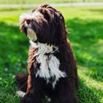 Profile Picture of Thomas Raymond (@thomas_raymond61) on Instagram