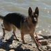 Profile Picture of Shauna Kerner (@shaunalkerner) on Pinterest