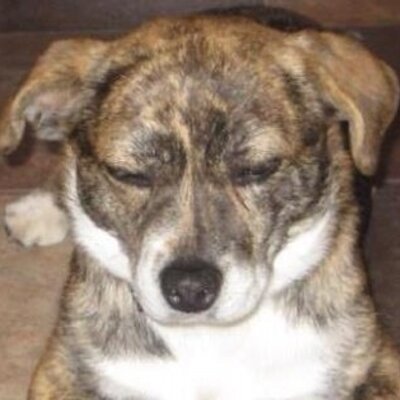 Profile Picture of Chris Hounsell (@chounsell93) on Twitter