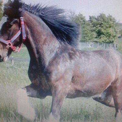 Profile Picture of Fredrick George (@_fredrickgeorge) on Twitter