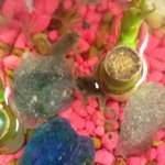 Profile Picture of kermit_and_hopper_the_frogs (@kermit_and_hopper_the_frogs) on Instagram