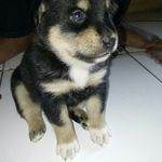 Profile Picture of ronald_doly09 (@ronal_doly) on Instagram