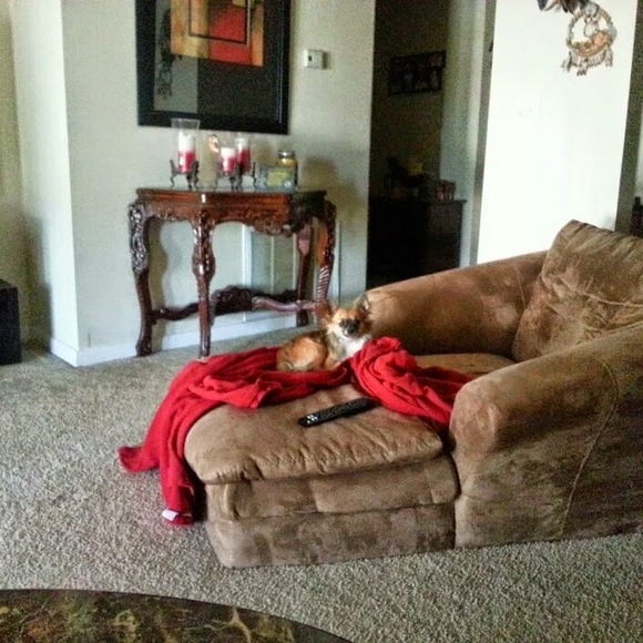 Profile Picture of Andrea Etsinger (@aletsinger1960) on Poshmark