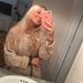 Profile Picture of Josefina Barbieri (@josefinabarbier) on Pinterest