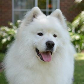 Profile Picture of Maya Lahiff (@enthralled_) on Pinterest