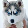 Profile Picture of Glen Reedy (@@glen.reedy.jrgmail.com) on Tiktok