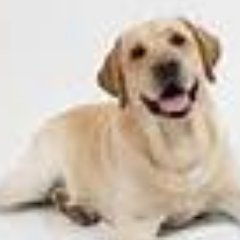 Profile Picture of Oliver Judd (@ToppCoolDude55) on Twitter