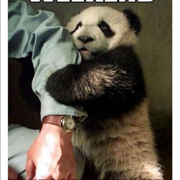 Profile Picture of Sam Millen (@smillen98) on Poshmark