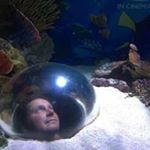 Profile Picture of Michael Sandefur (@michael.sandefur) on Instagram