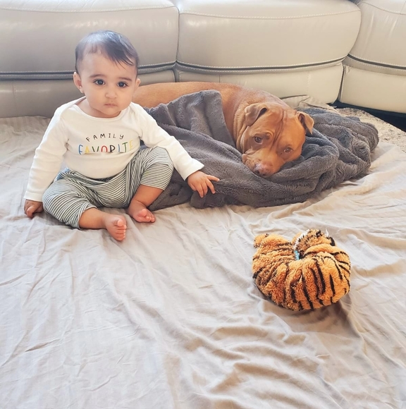 Profile Picture of Manjot Gill (@manjitgill84) on Poshmark