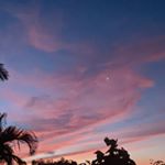 Profile Picture of Terry Philip King (@terryphilipking) on Instagram