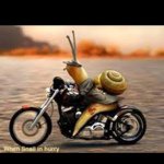 Profile Picture of alexmcnaney32 (@alexmcnaney32) on Instagram