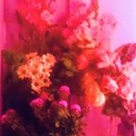 Profile Picture of 신해경 / shin hae gyeong (@shin_hae_gyeong) on Instagram