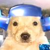 Profile Picture of José Arcos (@@joseotaku242) on Tiktok