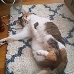 Profile Picture of Cassandra Hibbard (@cassandra.hibbard.71) on Instagram