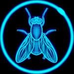 Profile Picture of Blake Kennedy (@digitalfly_fpv) on Instagram