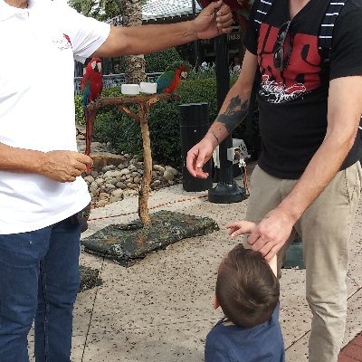 Profile Picture of Ronald R Shultz (@RonaldRShultz1) on Twitter