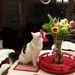 Profile Picture of Rachael McCrary (@raymccray33) on Pinterest