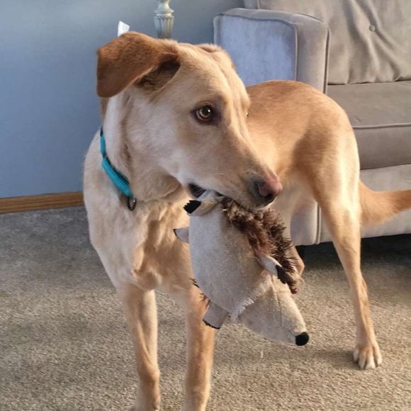 Profile Picture of Danielle Hendricks (@danielleh676) on Poshmark