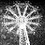 Profile Picture of Danmarinophoto (@danmarinophoto) on Flickr