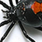 Profile Picture of Chris Maltby (@chris maltby) on Flickr