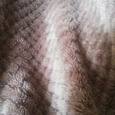 Profile Picture of Gary Timmons (@GaryTimmons17) on Twitter