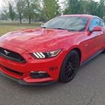 Profile Picture of Michael Knowlden (@michael.knowlden) on Instagram