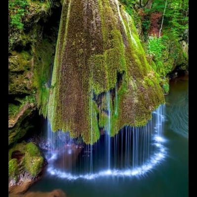 Profile Picture of Pat Rollins (@Patrick40245768) on Twitter