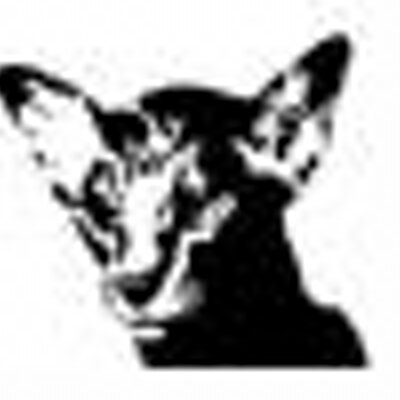 Profile Picture of Thomask (@@7homask) on Twitter