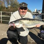 Profile Picture of Frank Engelhardt (@engelhardt564) on Instagram