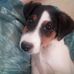 Profile Picture of Eugene Aless (@Eugene-Aless) on Facebook