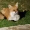 Profile Picture of andrewtrimmer6969 (@@andrewtrimmer6969) on Tiktok