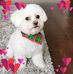 Profile Picture of Ava Key (@Ava-Key) on Facebook