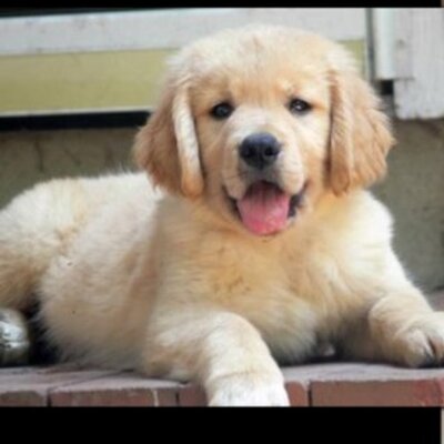 Profile Picture of Taylor Mcgraw (@mcgraw_taylor) on Twitter