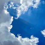 Profile Picture of Júlia Curcio (@ajuliacurcio) on Instagram