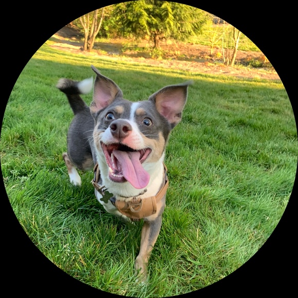 Profile Picture of Alaina Staniewicz (@alainapstan) on Poshmark