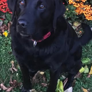 Profile Picture of Jeremy Padgett (@jeremy.padgett) on Instagram