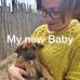 Profile Picture of Laurie Mack (@laurie.mack.129) on Facebook