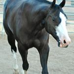 Sherry Chris Delaney - Instagram Profile Picture of Sherry Chris Delaney (@sherrychrisdelaney) on Instagram