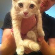 Michael Lazich - Pinterest Profile Picture of Michael Lazich (@mlazic000) on Pinterest