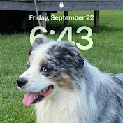 Profile Picture of Daniel Valade (@danielvalade9620) on Youtube