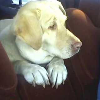 Profile Picture of Ron Gettman (@ron.gettman.9) on Facebook